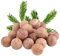 D.A.Y. Republic 12pc Cedar Moth Balls - Mothballs for Wardrobes and Drawers, Natural and Sustainable, Moth Repellent Cedarwood, Diminishes Mustiness and Moisture