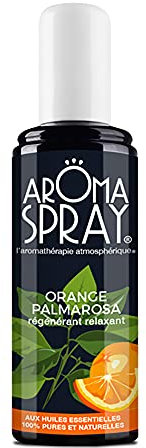 Aroma Spray – Raumspray/Aromatherapie, Duftnote: Eukalyptus & Minze, mit ätherischen Ölen, 100% rein und natürlich, 100 ml