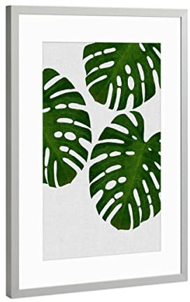 artboxONE Poster mit Rahmen Silber 75x50 cm Monstera Palm II von Orara Studio - gerahmtes Poster