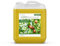 Kitama Jojobaöl kaltgepresst gold 5-Liter 100% rein aus naturbelassenen Jojoba Früchten zur Hautpflege, Basis-Öl Körper-Öl, Haut-Öl Massageöl & als sanftes Baby-Öl, Pflege-Öl für Haut & Haar & Nägel