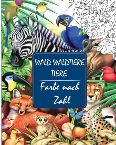 Wald Waldtiere tiere Farbe nach Zahl: Male die Zahlen aus und sieh dir die Bilder an!