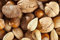 Mixed Nuts in Shell (2Kg) - Walnuts, Hazelnuts, Pecans, Almonds - Nutritious Vegan Keto Paleo Gluten-Free Snack - Freshly Packed, High in Protein and Fiber – Used in Baking, Cooking, Salad Toppings