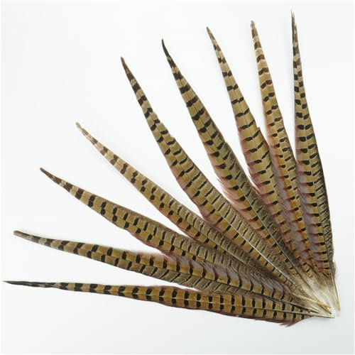 40-45Cm Fasan Schwanz Federn DIY Handwerk Plumas Decorativas Zubehör Lange Natur Feder Tisch Mittelstücke Natürliche 100Pcs