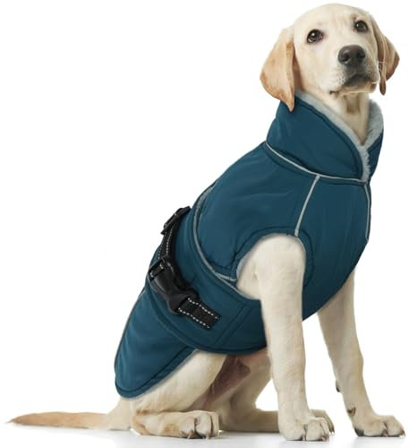 Hundemantel Grosse Hunde, Hundemantel Winter wasserdichte Hunde-Schneejacke Winter Hundepullover Fleece Winterjacke Winddichter(Dunkelgrün, L)