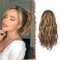 FESHFEN Pferdeschwanz Haarteil mit Kordelzug, 30 cm Wellen Zopf Pferdeschwanz Verlängerung Goldbraun Gemischt Blond Haare Extension Synthetik Kurz Wellig Haarverlängerung Ponytail für Damen Frauen