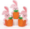 BETESSIN Geschenkboxen Ostern - 20 Stück Kleine Schachteln mit Osterhase & Karotte Motiv - Kreative Möhrenkisten zum Befüllen - Verpackung für Kleine Ostern Geschenke, Süßigkeiten, Mini Ostereier