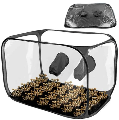 Pilz-Zuchtbox Stein-Champignon Pilzzuchtset I Pilze Züchten Set I Tolles Geschenk Für Gartenfreunde Und GemüseLiebhaber I Heimgarten I Pilz Zuchtbox (Groß) 76x43x44,5cm