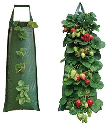 Nutley's Hanging Strawberry Flower Bag Planter Pouch grow fruit herbs flowers UV treated (Pack of 2)