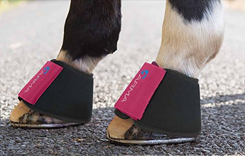 Shires Arma Neopren-Hufglocken – Raspberry Extra Full