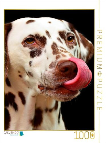 CALVENDO Puzzle Dalmatiner | 1000 Teile Lege-Größe 48 x 64 cm Foto-Puzzle für glückliche Stunden