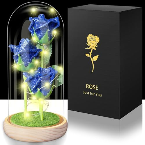 Hemiro Rose Eternelle sous Cloche, Cadeau Maman,Rose Eternelle la Belle et la Bete, Rose Eternelle avec LED dans Un Dôme en Verre, Cadeaux pour Les Femmes,Maman, Grand-mère,Amie Rose Bleue