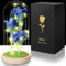 Rosa Eterna, San Valentino per Lei, Regalo Donna Rose con Luci LED in una Cupola di Vetro, Regalo per Donne, Mamma, Nonna, Amica, Anniversario Rosa Blu