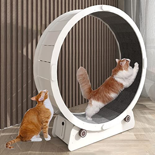 Katzenlaufrad Katzenlaufrad Klein Mittel Groß, Indoor Leises Katzensportspielzeug/Katzenkratzbrett/Katzenlaufrad Weiß, für Kätzchen Kleine Hunde Haustiere