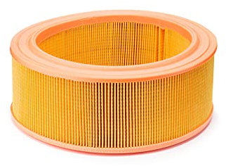 UFI Filters, Filtro Aria 30.917.01, Filtro Aria per Ricambio, Adatto ad Auto, Applicabile su Diversi Modelli come Asquith Motor Carriage, Ford e Umbrameccanica