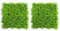 BLASHRD 2X Acqua Artificiale Finta Acquario Verde Erba Pianta Prato Acquario Paesaggio