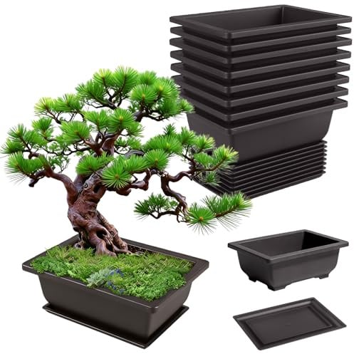 GBKDQQ Set di 8 ciotole per bonsai, 16,5 x 12 x 6 cm, con vassoi riutilizzabili, in plastica, per bonsai, adatti per cortili, soggiorno, balconi, giardini, uffici (nero)