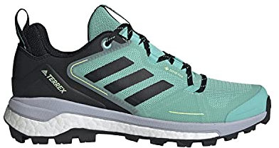 adidas Damen Terrex Skychaser 2 GTX Walking Shoe, Acimin Cblack Halsil, 40 2/3 EU