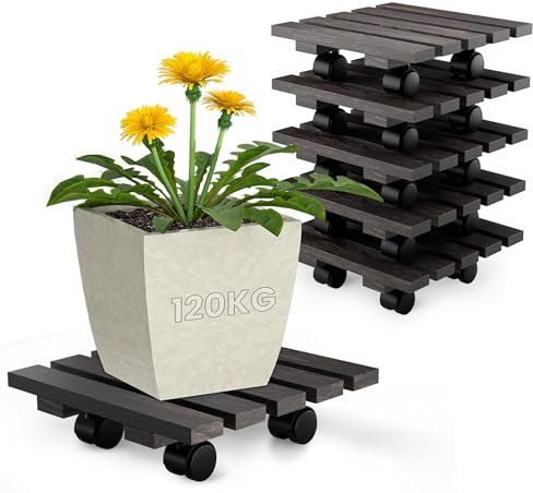 Oramics 6 Stück Pflanzenroller Eckig aus Massivholz in Schwarz – Ø30 x 8 cm bis 120 KG belastbar – Rollbrett für Pflanzen, Blumentöpfe und Blumenkübel – Blumentopf Untersetzer mit 4 Rollen