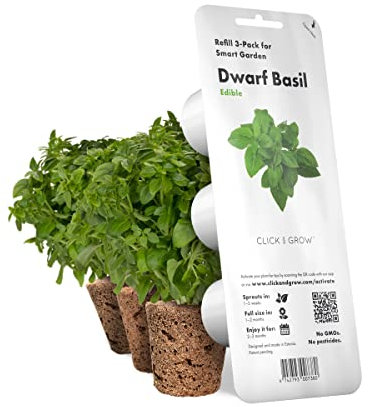 Dwarf Basilikum Basil Click and Grow, Nachfüll Pack, 3-pack, Indoor System, Smart Garden für Ihr Zuhause, starkes Aroma für die Küche