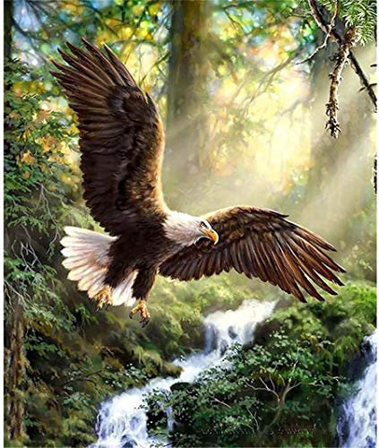 Zeyevan DIY Diamond Painting, komplett, Motiv: Adler, 5D-Diamant-Stickerei, komplettes Set, Tiermotiv, Wald, Kreuzstich, Strass, Stickerei, Handwerk, für Zuhause, Wanddekoration, 30 x 40 cm
