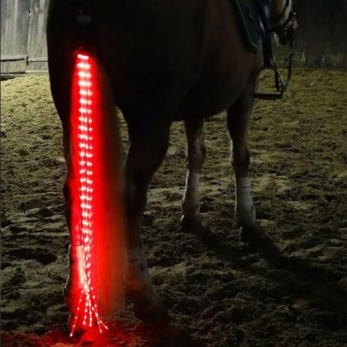 SSZYace Horse Equipment Reiten Schwanz Trappings Equestrian LED Flashing Light Bar Harness Outdoor Sports USB Charge Reiten Dekorationen (Rot)
