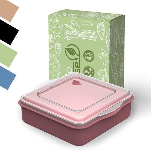 REuse Menübox take away Verpackung - Essensbehälter to go Lunchbox für Lebensmittel und Frischhaltebox nachhaltige Mehrweg Dose 2,l spülmaschinen- und mikrowellen geeignet (raffiniertes rot)