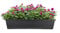 BigDean Blumenkasten mit Untersetzer 90 cm lang anthrazit - aus PP-Kunststoff - Balkon Pflanzkasten schmal Balkonkasten