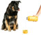 Ubbi Pup & Me Stainless Steel Insulated Portable 32 oz. Water Bottle for Dogs and Owners with Attached Dog Bowl, Yellow