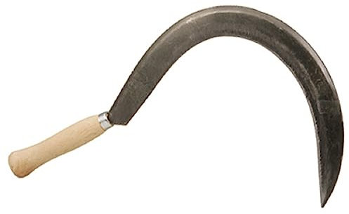 Sicheln Glatter Schnitt Nr. 1