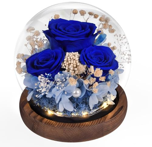 Ewige Rose im Glas mit Licht, Infinity Blumen Konservierte Rosen als Geschenke für Frauen Mama Oma Freundin zum Valentinstag Muttertag Geburtstag Jahrestag Thanksgiving Hauptdekor Weihnachten, Blau