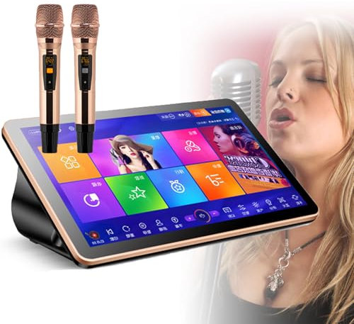 Portable Karaoke Player 3 in 1 Machine with 2 Reverb Wireless Mic, 18.5Inch Touch Screen with Lyrics Display, Desktop Type, Cloud Song Update,Black-500G
