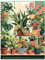Peinture Numero Adulte, Usime Coloriage Par Numero Adulte, Toile Peinture Pour la Décoration de la Maison 40x50cm