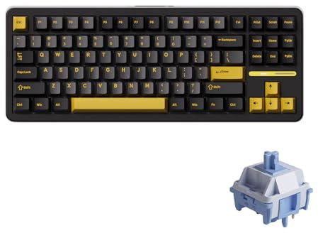 Akko TAC87 Gaming Keyboard Black & Gold Hot-Swappable Tri-Mode Mechanical Keyboard with PBT Cherry Profile Keycaps, Mirror Switch