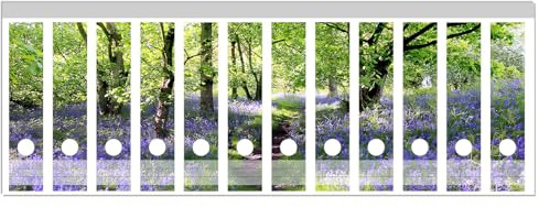 Wallario Ordnerrücken Sticker Blaues Hasenglöckchen im Wald - Rückenschilder für 12 breite Ordner, Klebeetiketten