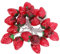 FTVOGUE 9,8 Fuß 20 LEDs Obst-Lichterkette, Batteriebetrieben, Erdbeer-Lichterkette für Mottoparty-Dekoration
