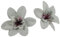 Whakano 20x Künstliche Blumen Orchidee,8cm Seidenblume Köpfe KunstOrchidee,Kunstblumen Orchidee,Künstlich Blumenkopf Deko-Blüten Orchideeblumen für Thanksgiving Party Tischdeko DIY Kleidung Deko,grau