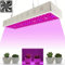 Bufccy 1000W LED Grow Lights with Fan, Energy Saving Timable LED Full Spectrum Grow Light, Grow Light Panel Promote Plant Germination, Flowering, Fruiting（100 PCS LED）