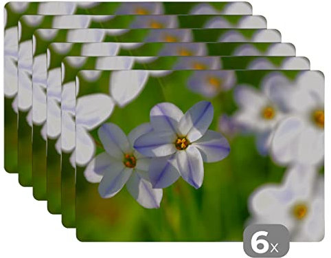 Set de Table Fleurs - Jardin - Violet Lot de 6 Dessous de Table 45x30 cm Lavable