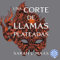 Una corte de llamas plateadas