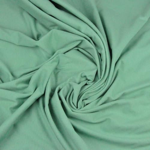 TEXTREND Meterware Jersey - Stoff zum Nähen - 100% Baumwolle - Gewicht: 140 Gramm / m2 - Textilien 1x1.75m - Einfarbiger Stoff - Verschiedene Farben (Salbei)