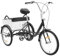 CHERIPOLI 20 Zoll Adult Fahrrad, erwachsenendreirad aus kohlenstoffstahl, Dreirad für Erwachsene, mit Kindersitz & Einkaufskorb