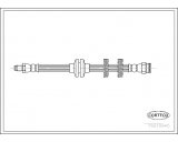 Corteco 19019945 Bremsschlauch vorne | 19019945 Kompatibel mit Palio (178_, 171_, 371_),Palio Weekend (178_, 173_, 373_, 374_, 171_)