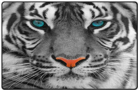 Use7 Tiger Teppich für Wohnzimmer, Schlafzimmer, 100 x 150 cm