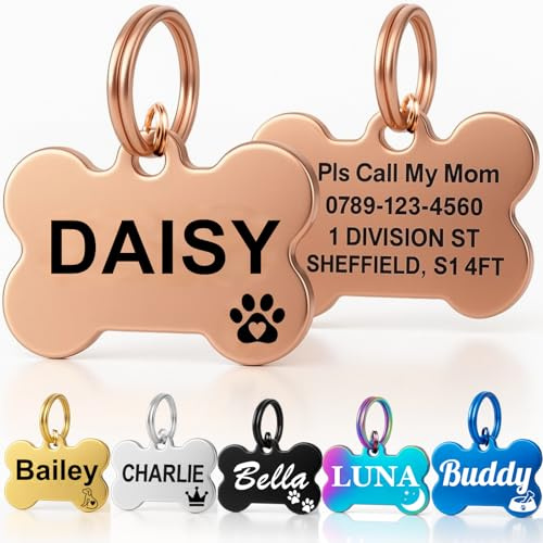 Personalisierte Hundeetiketten für Haustiere, tief gravierte Katzen- und Hundenamen-ID-Tags, Edelstahl Haustier Tag für Hund Kätzchen Kitty Welpen, Kratzfestes Etikett (Champagner Gold Knochen, L)