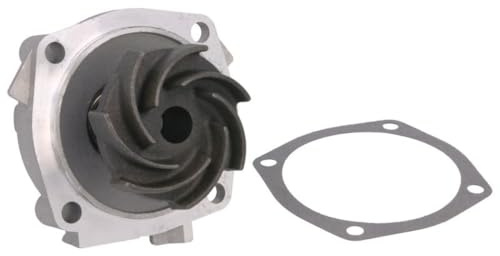 Hepu P620 Wasserpumpe