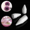 HMYDZ 100Pcs / Packung Küchen klebriger Reis-Kuchen, Pflege-Rosen-Blumen Piping Pflege Dessert Dekor Küche Kuchen, die Werkzeuge