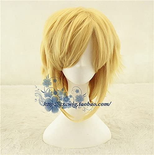 The Legend of Zelda Link Cosplay Perücke Herren Link Rollenspiel Gold Haar mit gratis Haarnetz