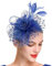 WATEFOER Fascinators Hut für Damen Mädchen Tea Party Stirnband Blume Cocktail Mesh Federn Derby Hut für Hochzeit Party Kirche