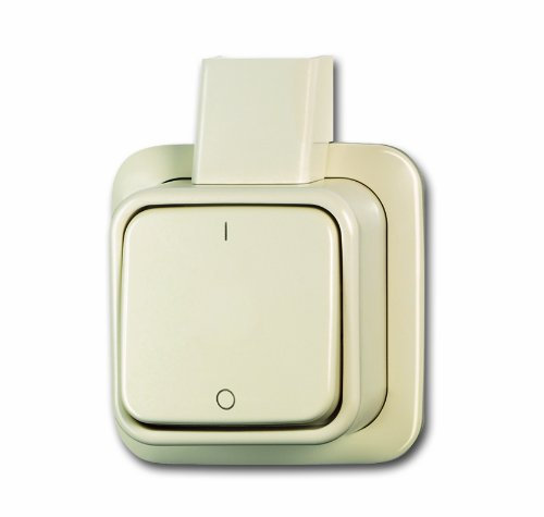 Busch-Jaeger BUSC Jalousietaster 2621/4 AP, 250 V, bunt