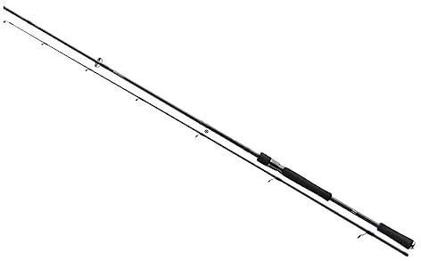 Daiwa Prorex XR Spin 2,40m 70-135g